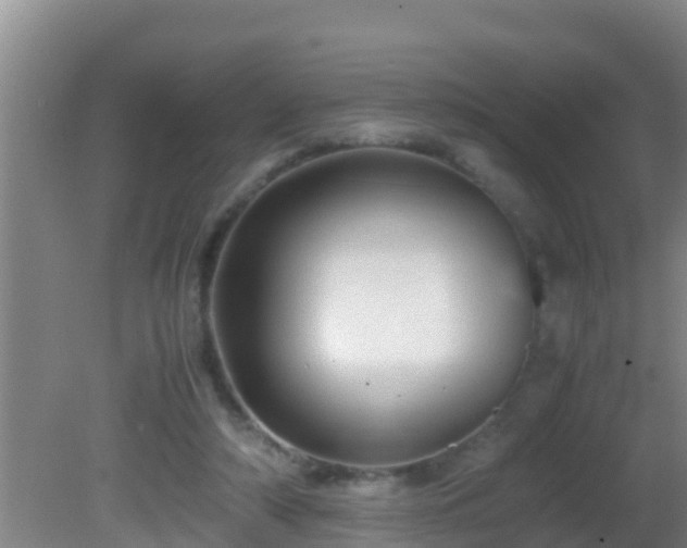 X0000081610306200701221209