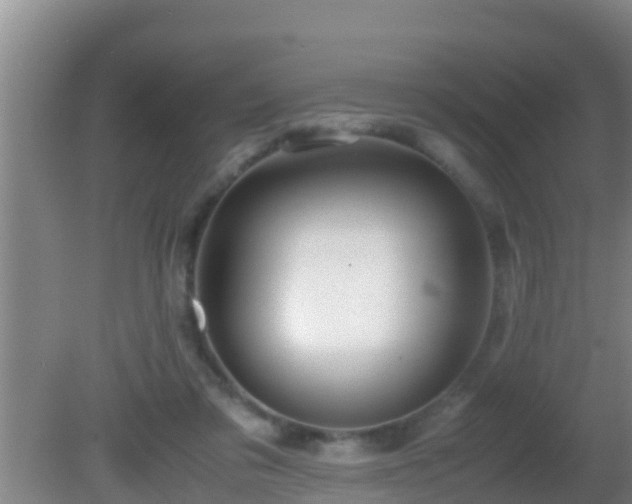 X0000081610309200701221209