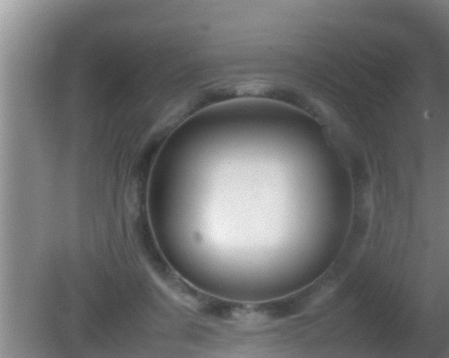 X0000081610311200701221209