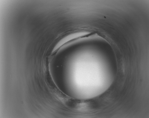 X0000081610312200701221209