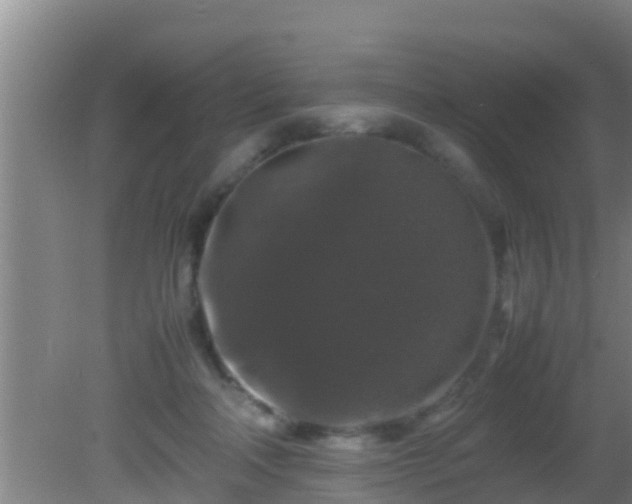 X0000081610314200701221209