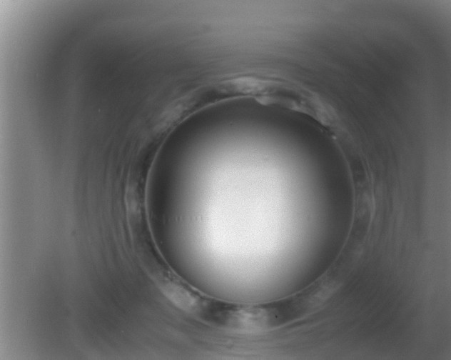 X0000081610317200701221209