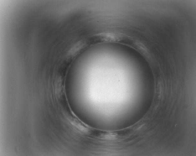 X0000081610318200701221209