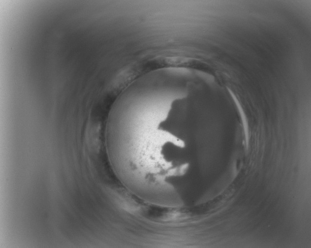 X0000081610319200701221209