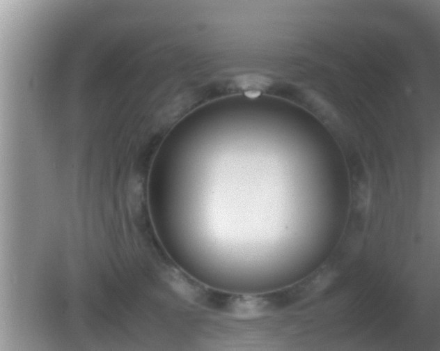 X0000081610321200701221209