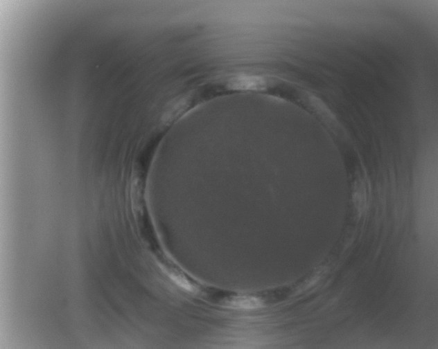 X0000081610322200701221209