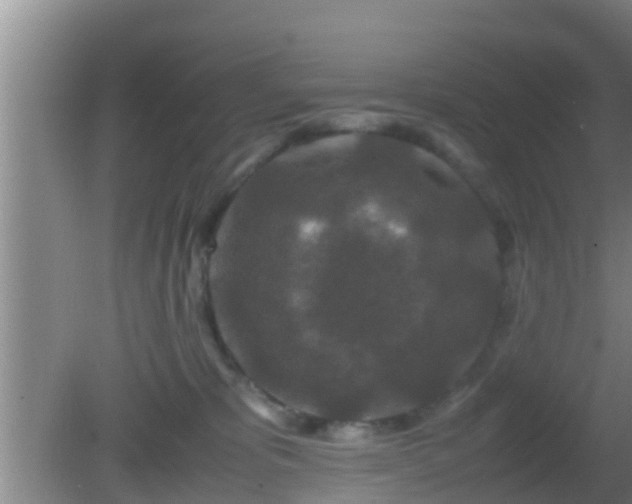 X0000081610325200701221209