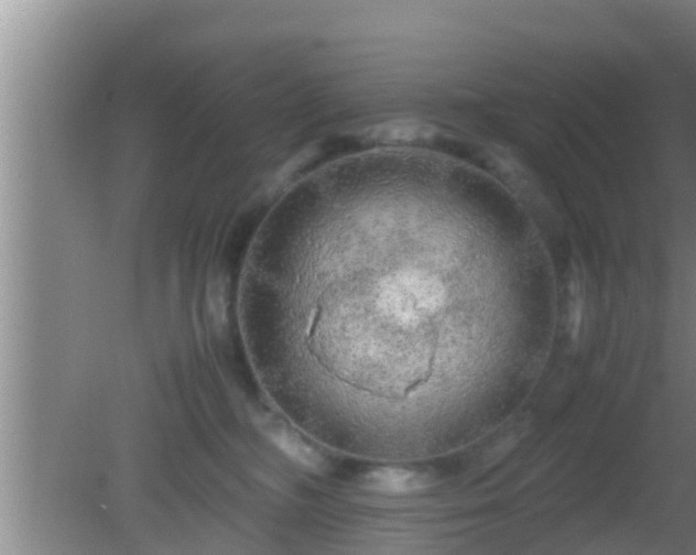 X0000081610326200701221209