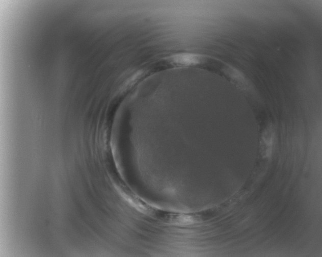 X0000081610330200701221209