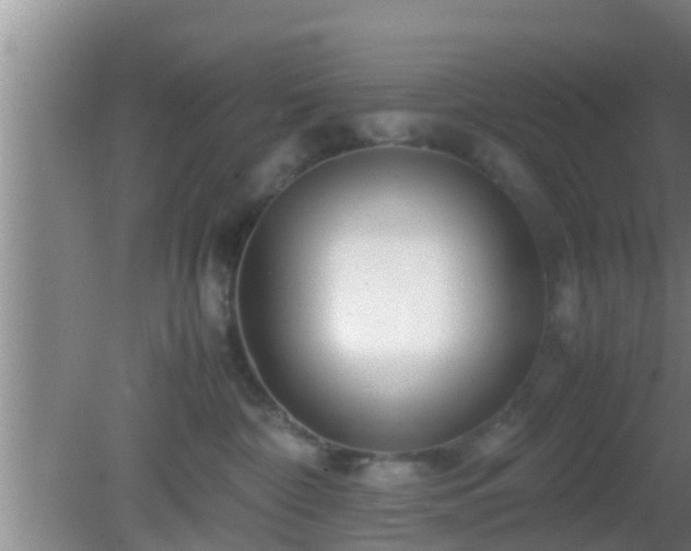 X0000081610332200701221209