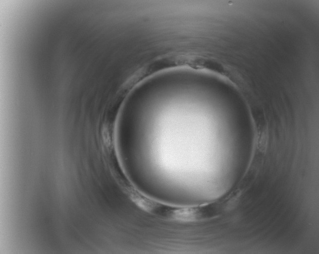 X0000081610335200701221208