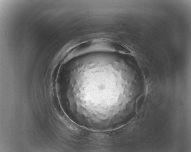 X0000081610339200701221208