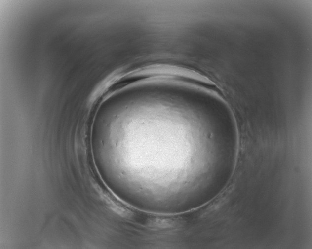 X0000081610341200701221208