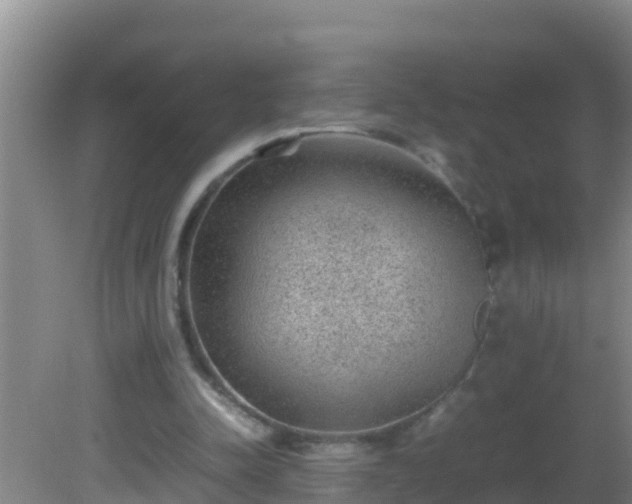 X0000081610342200701221208