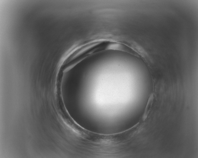 X0000081610344200701221208