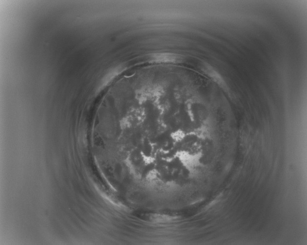 X0000081610347200701221208