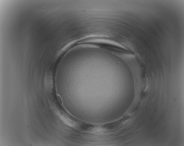 X0000081610348200701221208