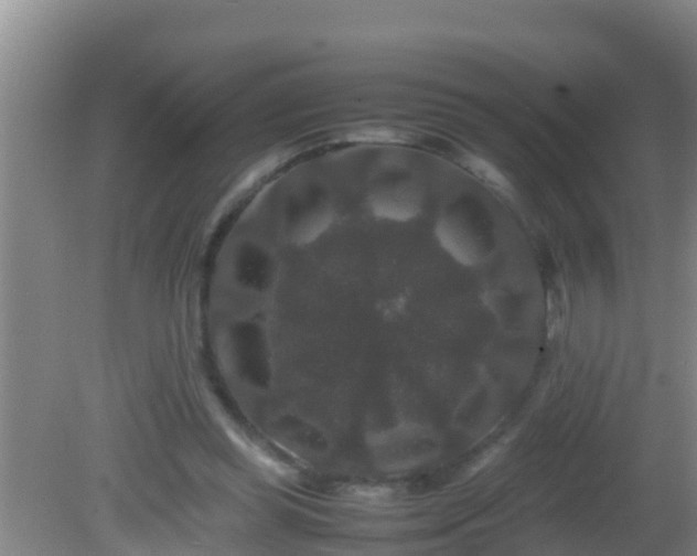 X0000081610349200701221208