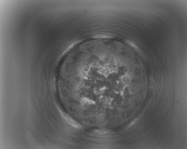 X0000081610351200701221208