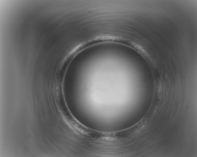 X0000081610352200701221208