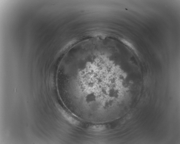 X0000081610353200701221208