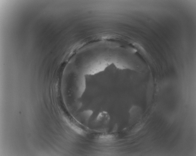 X0000081610357200701221208