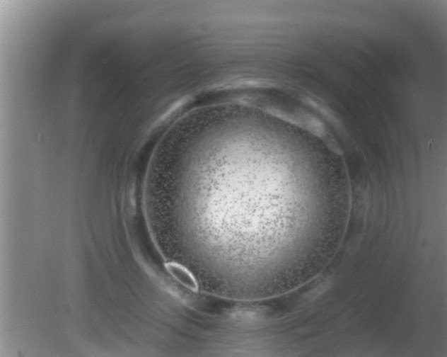 X0000081610358200701221208