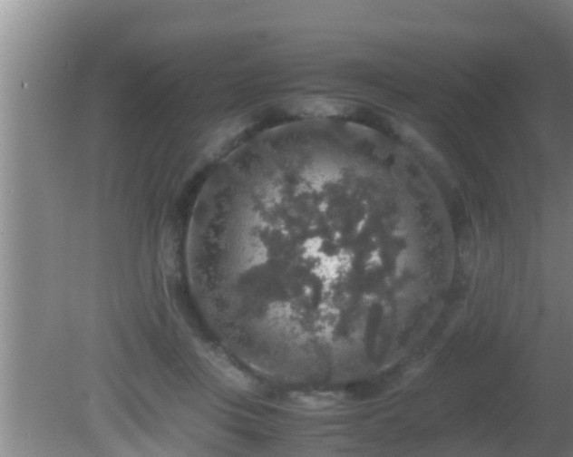 X0000081610359200701221208