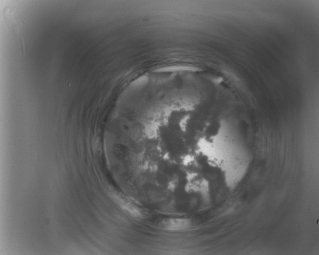 X0000081610361200701221208