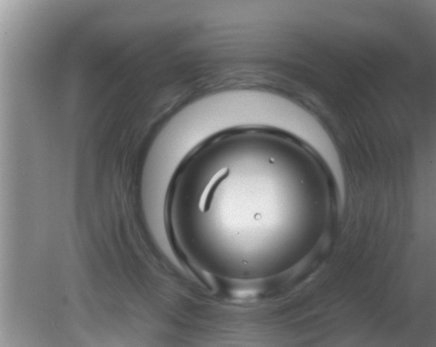 X0000081610362200701221208