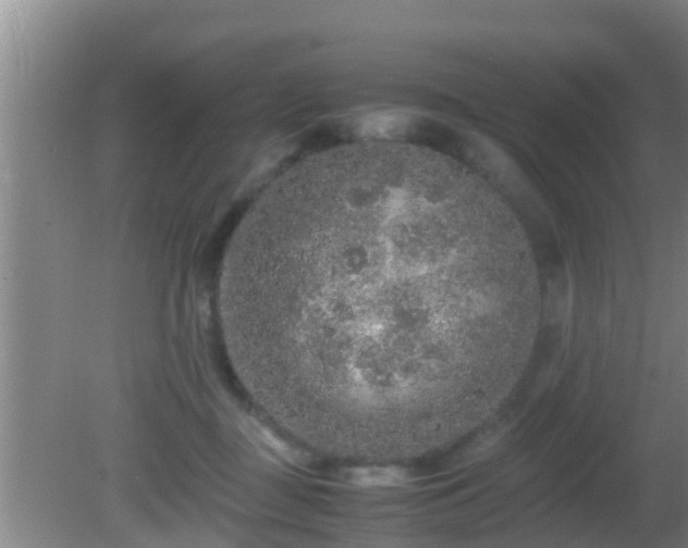 X0000081610363200701221208