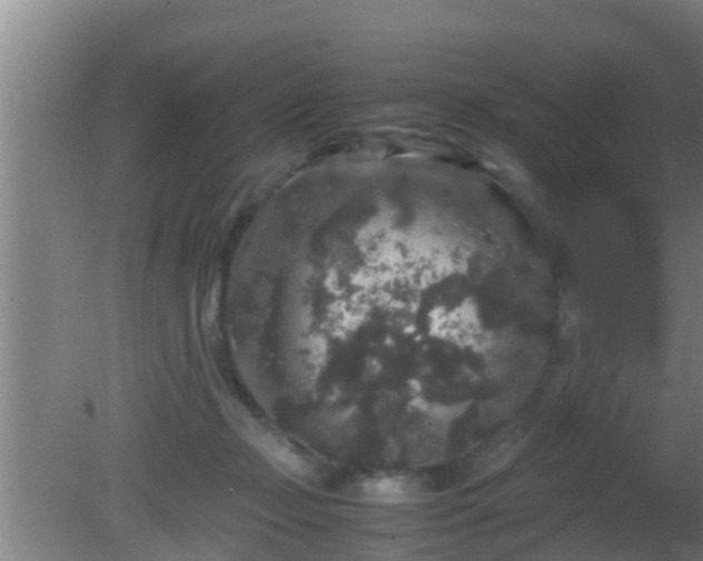 X0000081610365200701221208