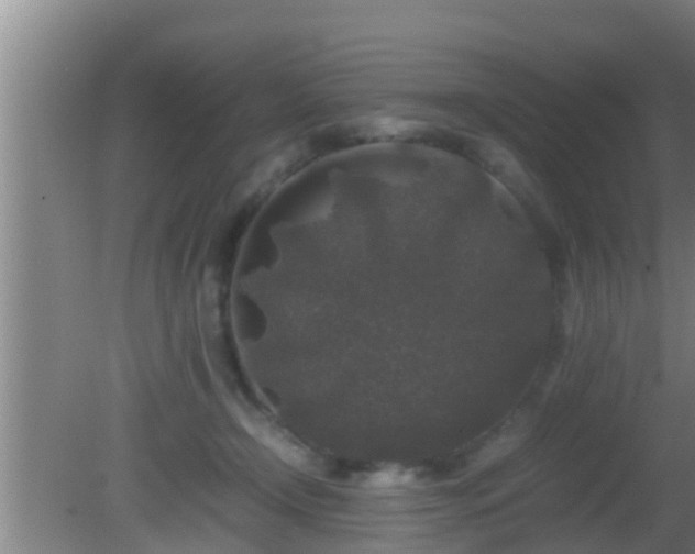 X0000081610366200701221208