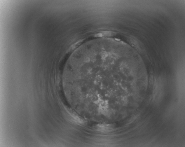 X0000081610367200701221208