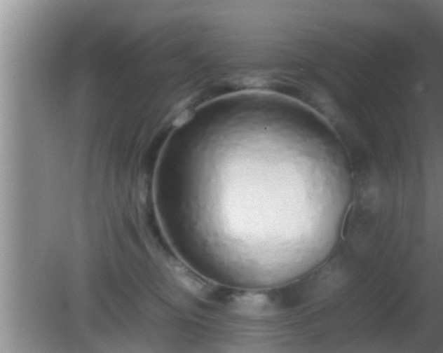 X0000081610374200701221208