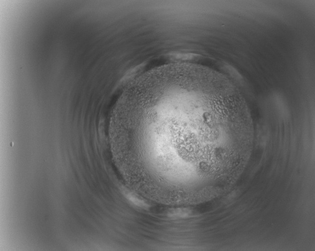 X0000081610377200701221208