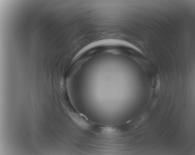 X0000081610380200701221208