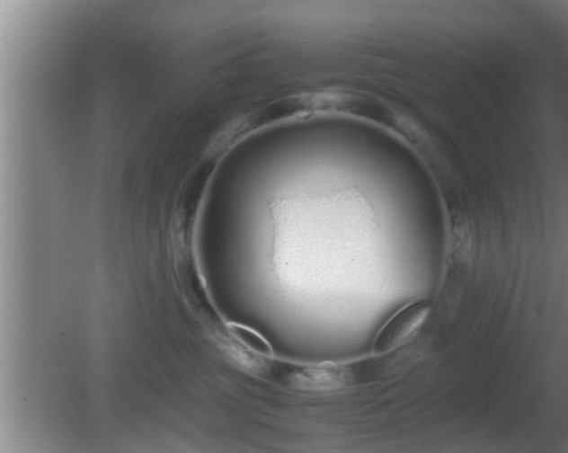 X0000081610381200701221208