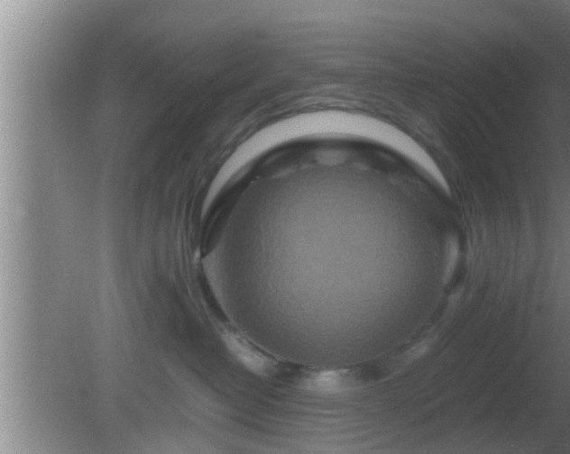 X0000081610382200701221208