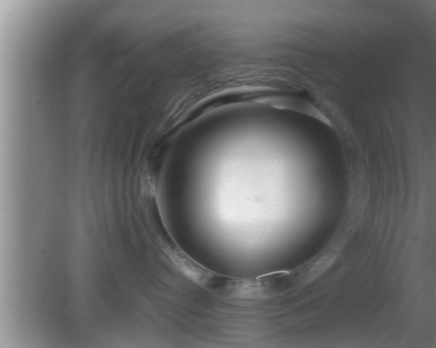 X0000081610384200701221208