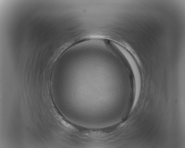 X0000081610385200701221208