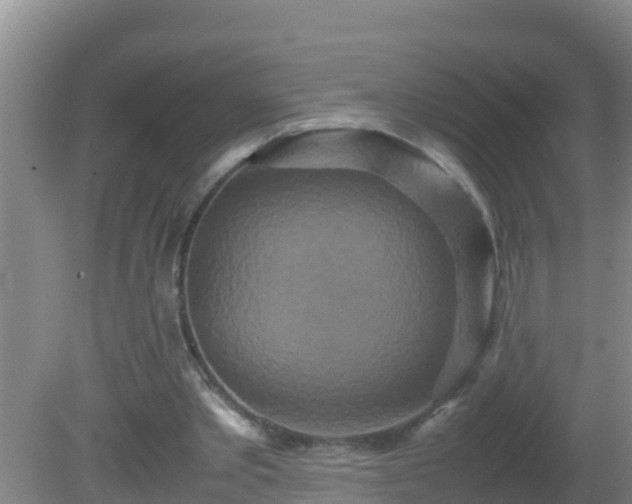 X0000081610389200701221208