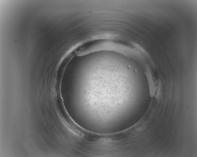 X0000081610392200701221208