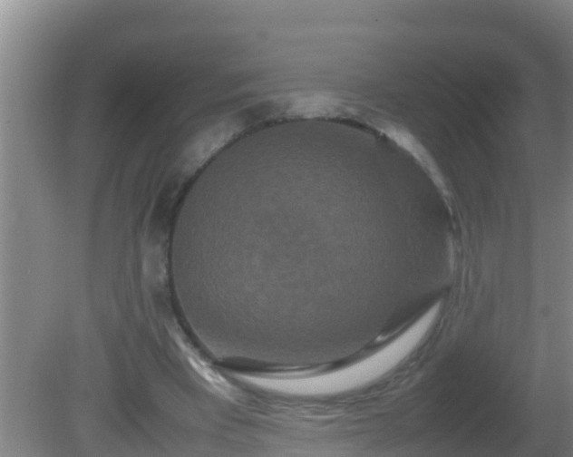 X0000081610393200701221207