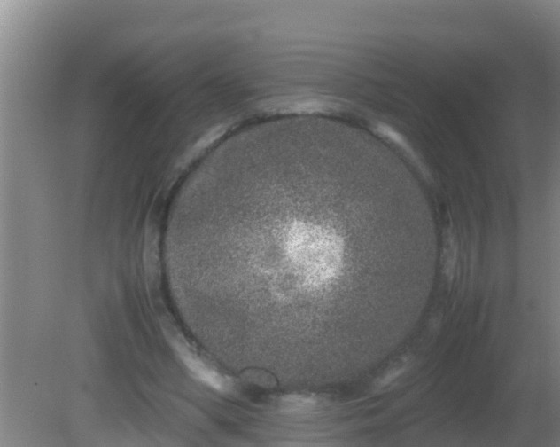 X0000081610394200701221207