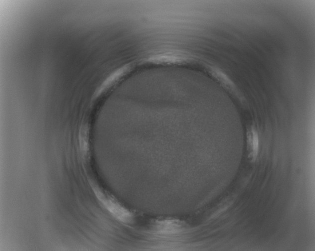 X0000081610396200701221207