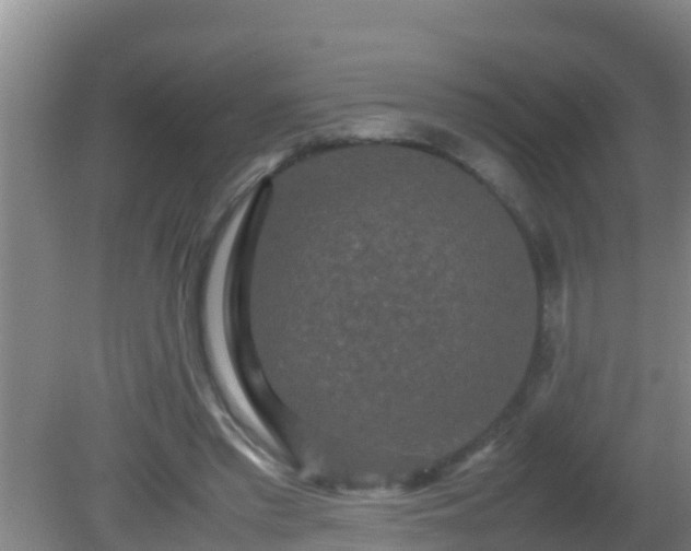 X0000081610397200701221207