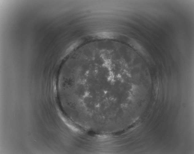 X0000081610398200701221207