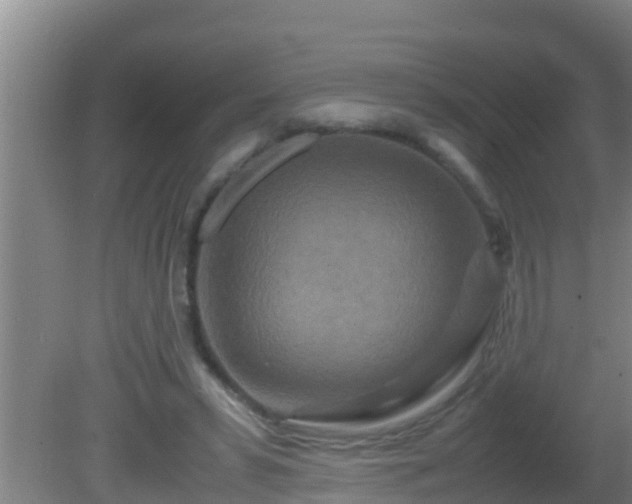 X0000081610399200701221207