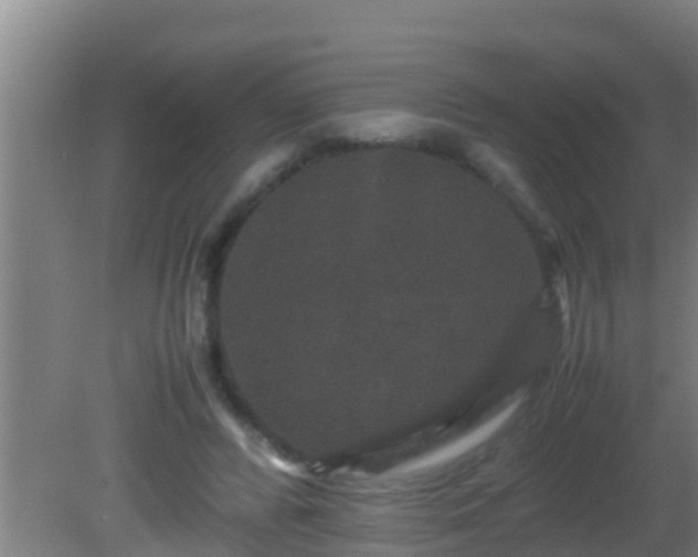 X0000081610400200701221207